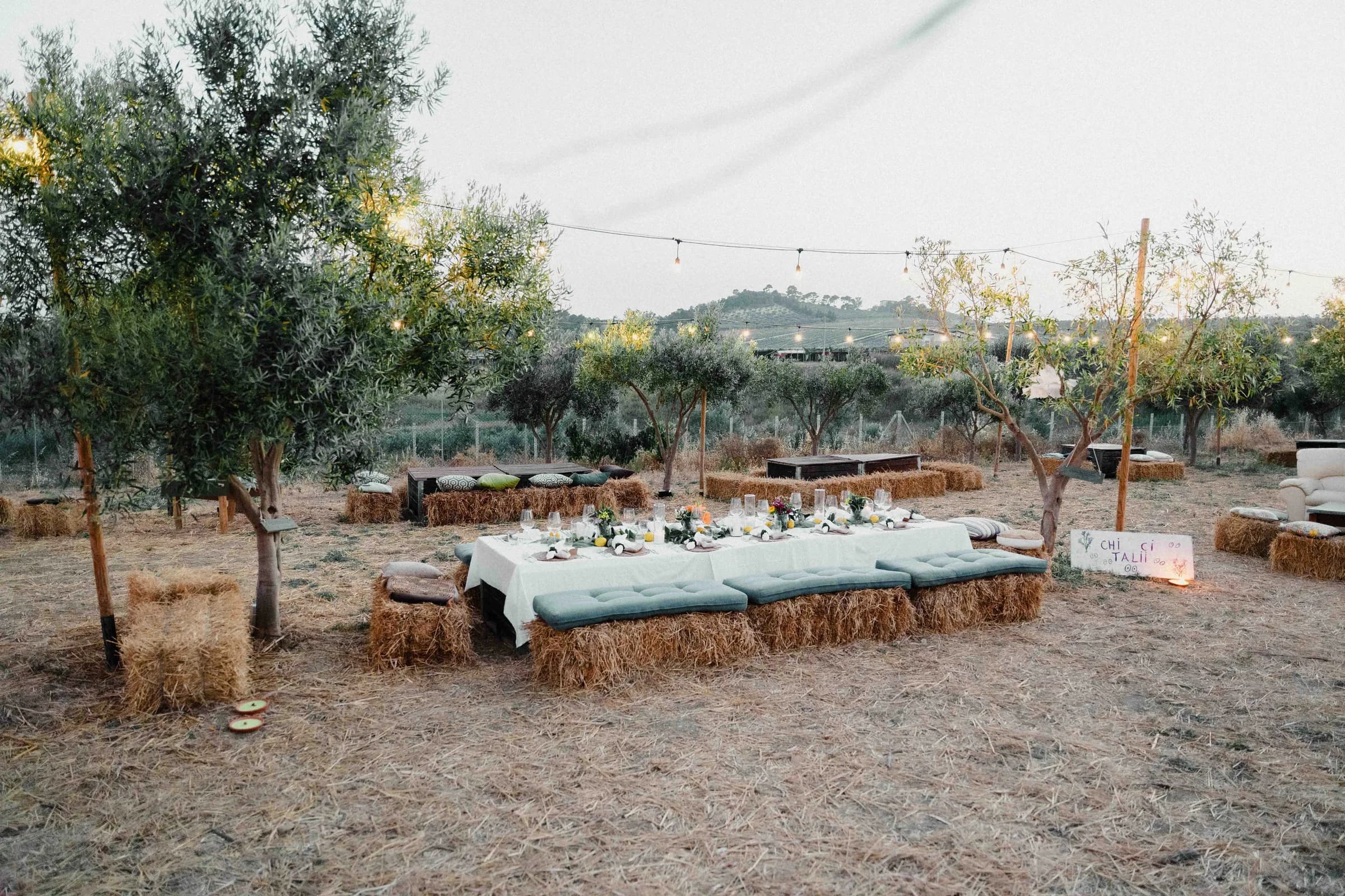 Long tables set with hay bales for seating among the olive trees at Moresca Farm
