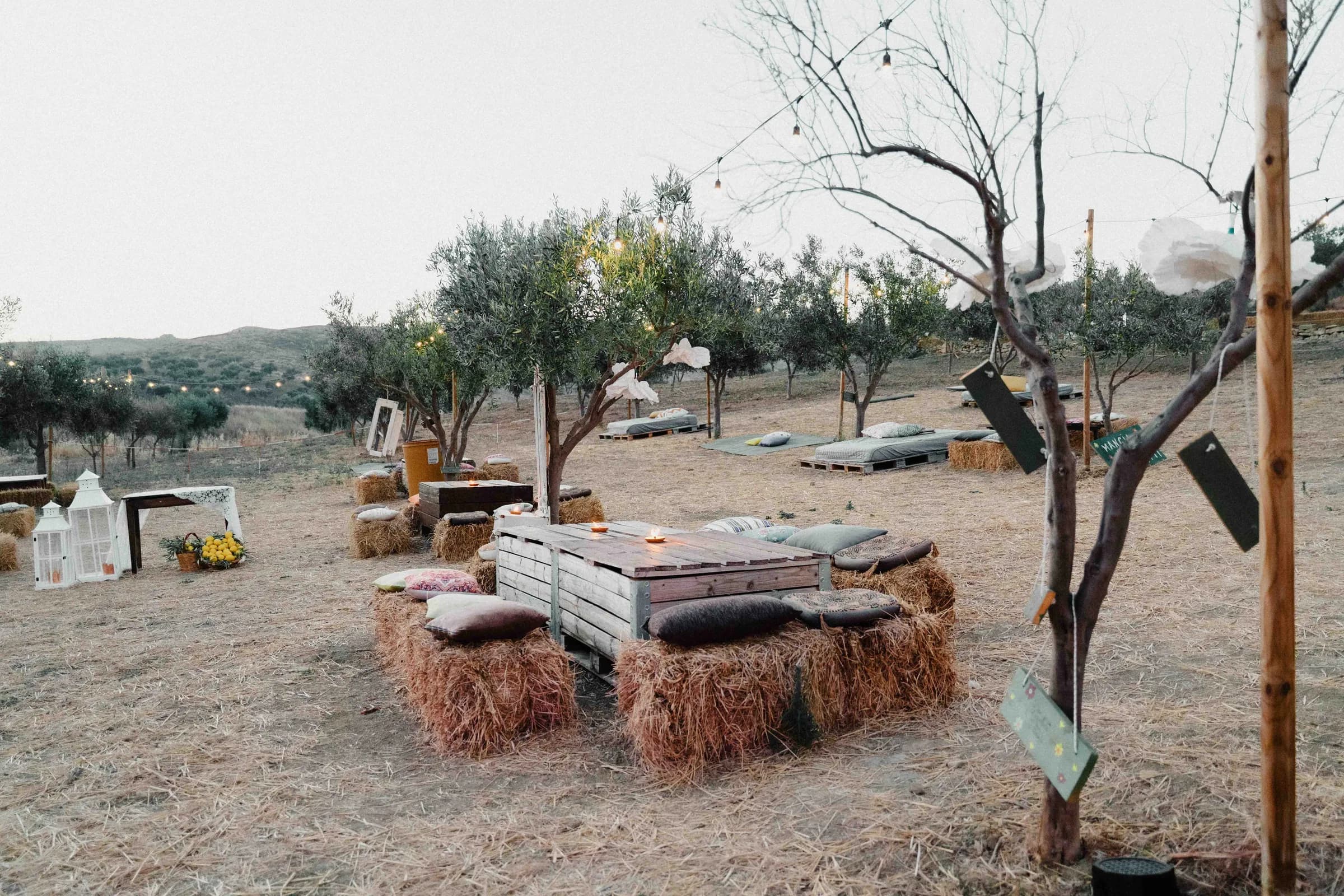 Dressed tables laid out under the olive canopy, hay bales along their length